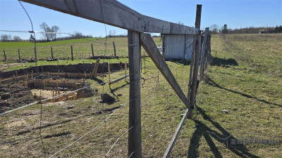 DZIAŁKA W OKOLICY JEZIORA KOMORZE - Sikory  -
Zachodniopomorskie Zdjęcie nr 3