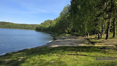 Okole - Grunt siedliskowy w otoczeniu lasu ok 100 - Okole  -
Zachodniopomorskie Zdjęcie nr 13