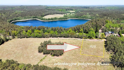 Okole - Grunt siedliskowy w otoczeniu lasu ok 100 - Okole  -
Zachodniopomorskie Zdjęcie nr 2