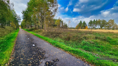 Grunty pod lasem w Świerczyna - na raty - Świerczyna  -
Zachodniopomorskie Zdjęcie nr 10