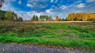Grunty pod lasem w Świerczyna - na raty - Świerczyna  -
Zachodniopomorskie Zdjęcie nr 11