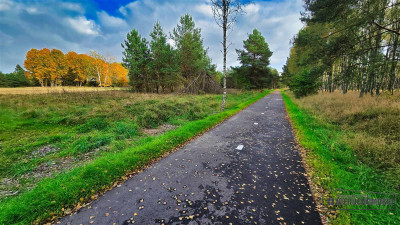 Grunty pod lasem w Świerczyna - na raty - Świerczyna  -
Zachodniopomorskie Zdjęcie nr 12