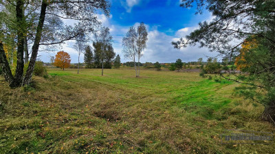 Grunty pod lasem w Świerczyna - na raty - Świerczyna  -
Zachodniopomorskie Zdjęcie nr 13