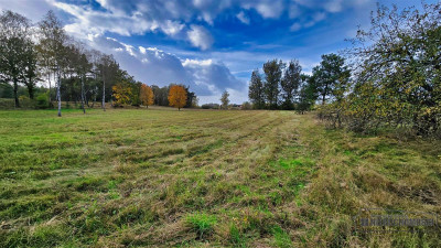 Grunty pod lasem w Świerczyna - na raty - Świerczyna  -
Zachodniopomorskie Zdjęcie nr 14