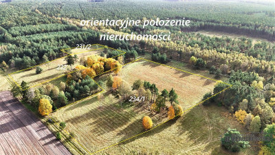 Grunty pod lasem w Świerczyna - na raty - Świerczyna  -
Zachodniopomorskie Zdjęcie nr 5