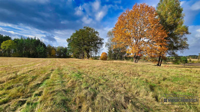 Grunty pod lasem w Świerczyna - na raty - Świerczyna  -
Zachodniopomorskie Zdjęcie nr 7