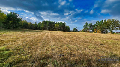 Grunty pod lasem w Świerczyna - na raty - Świerczyna  -
Zachodniopomorskie Zdjęcie nr 9