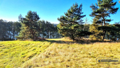 Unikat Działka z dostępem do jeziora Dołgie - Dołgie  -
Zachodniopomorskie Zdjęcie nr 11