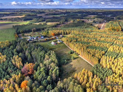 Działka pod lasem na raty - Piaseczno - Piaseczno  -
Zachodniopomorskie Zdjęcie nr 4