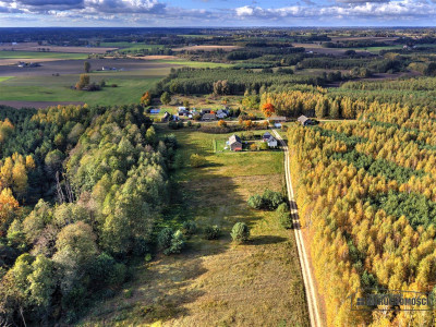 Działka pod lasem na raty - Piaseczno - Piaseczno  -
Zachodniopomorskie Zdjęcie nr 5