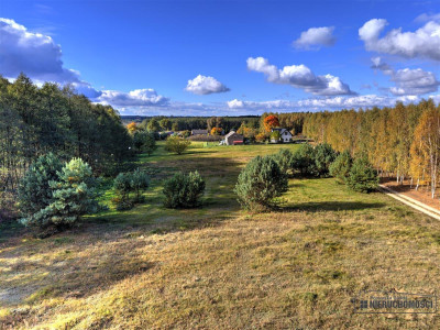 Działka pod lasem na raty - Piaseczno - Piaseczno  -
Zachodniopomorskie Zdjęcie nr 7