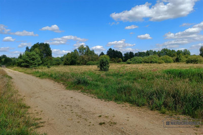 Działka nad jezioremrzekalas  Stare Wierzchowo - Stare Wierzchowo  -
Zachodniopomorskie Zdjęcie nr 12