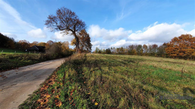 NA RATY działka budowlana 35 km od Koszalina - Gło - Głodowa  -
Zachodniopomorskie Zdjęcie nr 12