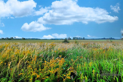 Duża działka letniskowa w pobliżu jez Wierzchowo - Stare Wierzchowo  -
Zachodniopomorskie Zdjęcie nr 8