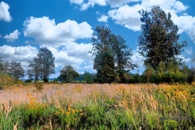 Duża działka letniskowa w pobliżu jez Wierzchowo - Stare Wierzchowo  -
Zachodniopomorskie Zdjęcie nr 9
