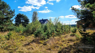 Nad jeziorem Prąd wodociąg kanalizacja plaża - Dołgie  -
Zachodniopomorskie Zdjęcie nr 12