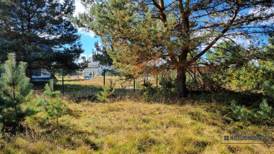 Nad jeziorem Prąd wodociąg kanalizacja plaża - Dołgie  -
Zachodniopomorskie Zdjęcie nr 9