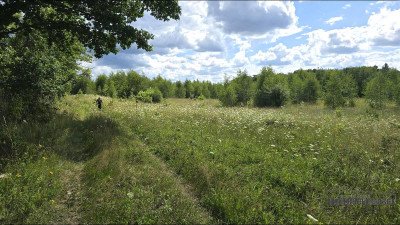 możliwość zabudowy zagrodowej -1 km od jeziora Pil - Silnowo  -
Zachodniopomorskie Zdjęcie nr 13