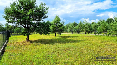 NA RATY Ogrodzone działki blisko jez Dołgie - Dołgie  -
Zachodniopomorskie Zdjęcie nr 12