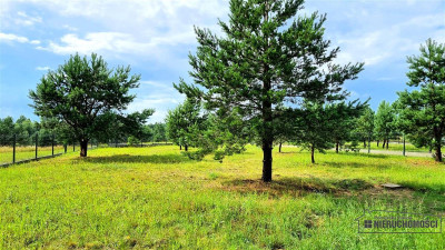 NA RATY Ogrodzone działki blisko jez Dołgie - Dołgie  -
Zachodniopomorskie Zdjęcie nr 13