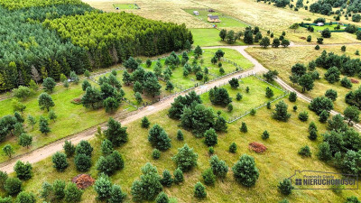 NA RATY Ogrodzone działki blisko jez Dołgie - Dołgie  -
Zachodniopomorskie Zdjęcie nr 6