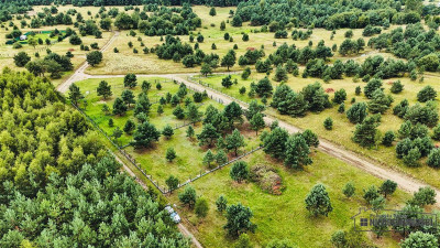 NA RATY Ogrodzone działki blisko jez Dołgie - Dołgie  -
Zachodniopomorskie Zdjęcie nr 7