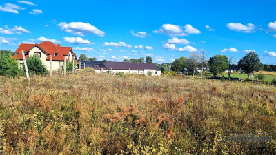 1504m2 pod dom jednorodzinnySzczecinekTrzesieka - Szczecinek  -
Zachodniopomorskie Zdjęcie nr 12
