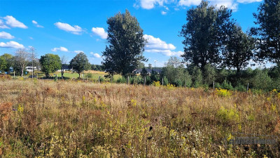 1504m2 pod dom jednorodzinnySzczecinekTrzesieka - Szczecinek  -
Zachodniopomorskie Zdjęcie nr 13