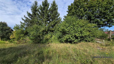 działka budowlana Krągi gm Boren Sulinowo - Krągi  -
Zachodniopomorskie Zdjęcie nr 12