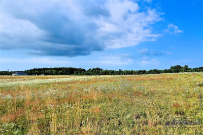 Działki rekreacyjne w pobliżu jeziora Dołgie - Dołgie   -
Zachodniopomorskie Zdjęcie nr 11