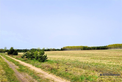 Działki rekreacyjne w pobliżu jeziora Dołgie - Dołgie   -
Zachodniopomorskie Zdjęcie nr 14