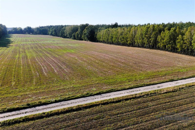 Działki budowlane pod Szczecinkiem blisko jeziora - Szczecinek   -
Zachodniopomorskie Zdjęcie nr 11