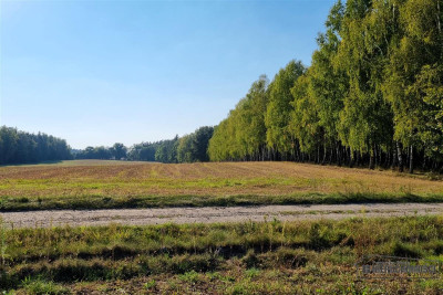 Działki budowlane pod Szczecinkiem blisko jeziora - Szczecinek   -
Zachodniopomorskie Zdjęcie nr 13