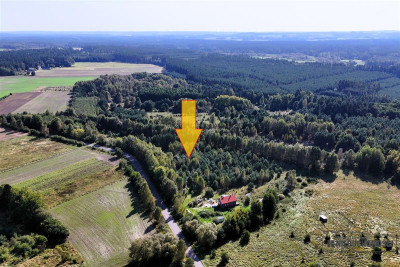 Duże działki w Krosinie ok 60 km od morza - Krosino   -
Zachodniopomorskie Zdjęcie nr 5