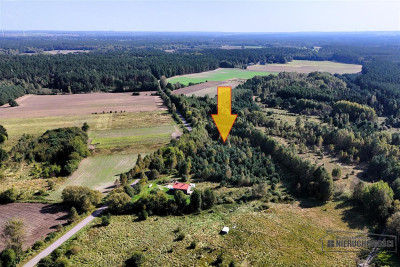 Duże działki w Krosinie ok 60 km od morza - Krosino   -
Zachodniopomorskie Zdjęcie nr 9