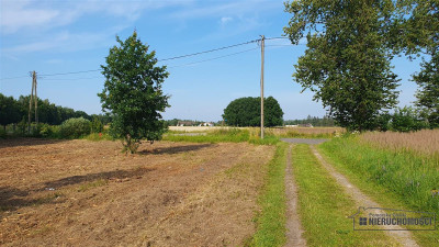 Działka budowlana - KOSZALIN OKOŁO 20 KM - na raty - Nosówko   -
Zachodniopomorskie Zdjęcie nr 14