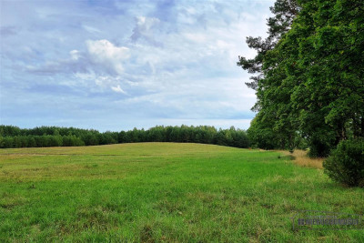 Okolica jeziora Dołgie i kompleksów leśnych - Dołgie   -
Zachodniopomorskie Zdjęcie nr 12