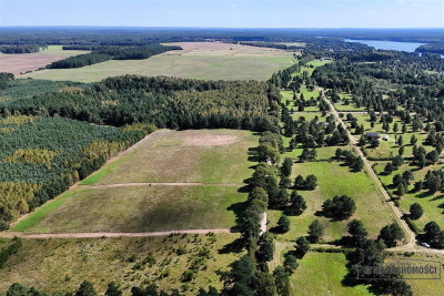 Okolica jeziora Dołgie i kompleksów leśnych - Dołgie   -
Zachodniopomorskie Zdjęcie nr 5