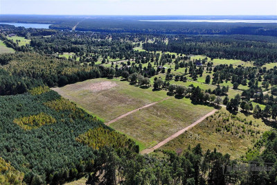 Okolica jeziora Dołgie i kompleksów leśnych - Dołgie   -
Zachodniopomorskie Zdjęcie nr 7