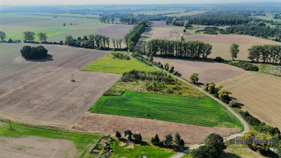 Działka budowlana około 20 minut od Bałtyku - Bielikowo   -
Zachodniopomorskie Zdjęcie nr 10