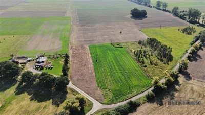 Działka budowlana około 20 minut od Bałtyku - Bielikowo   -
Zachodniopomorskie Zdjęcie nr 13