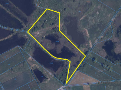 Działka siedliskowa ze stawem pod miastem - Marcelin  -
Zachodniopomorskie Zdjęcie nr 11