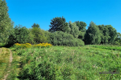 Działka siedliskowa ze stawem pod miastem - Marcelin  -
Zachodniopomorskie Zdjęcie nr 13