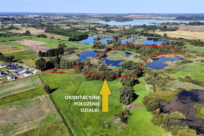 Działka siedliskowa ze stawem pod miastem - Marcelin  -
Zachodniopomorskie Zdjęcie nr 2