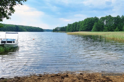 Działka z pięknym widokiem na jezioro Dołgie - Dołgie   -
Zachodniopomorskie Zdjęcie nr 8