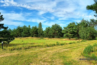 Działka nad jeziorem Prąd wodociąg plaża - Dołgie   -
Zachodniopomorskie Zdjęcie nr 10