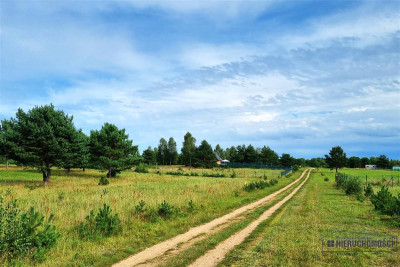 Działka nad jeziorem Prąd wodociąg plaża - Dołgie   -
Zachodniopomorskie Zdjęcie nr 11