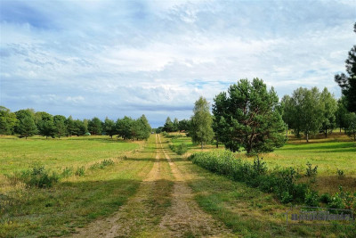 Działka nad jeziorem Prąd wodociąg plaża - Dołgie   -
Zachodniopomorskie Zdjęcie nr 9