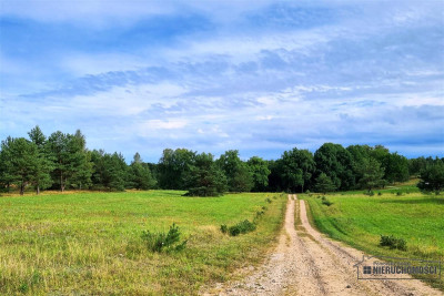 Budowlane nad jeziorem Prąd wodociąg plaża - Dołgie   -
Zachodniopomorskie Zdjęcie nr 12