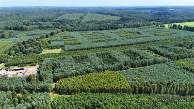 Działka budowlana blisko Świdwina - na raty - Ząbrowo   -
Zachodniopomorskie Zdjęcie nr 13